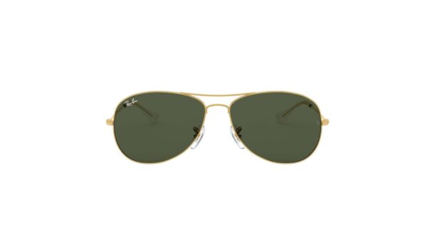 Ray-Ban Cockpit RB3362