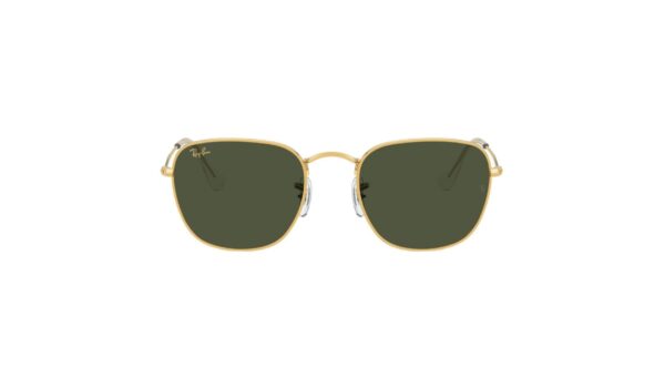 Ray-Ban Frank RB3857
