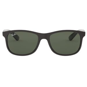 Ray-Ban Andy RB4202 - Zwart