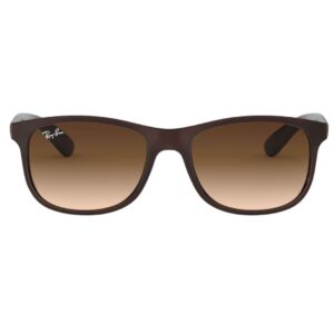 Ray-Ban Andy RB4202 - Bruin
