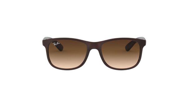 Ray-Ban Andy RB4202 - Bruin
