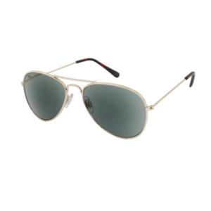 ZonneLeesbril Croon Pilot-Shiny gold-small-+2.50