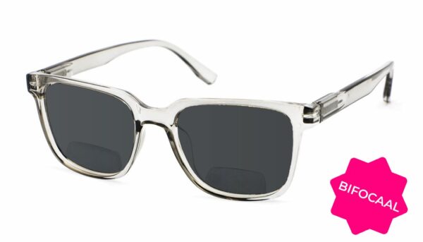 Zonneleesbril Vista Bonita Cubo Bifocaal-Kadushi Silver-+4.00