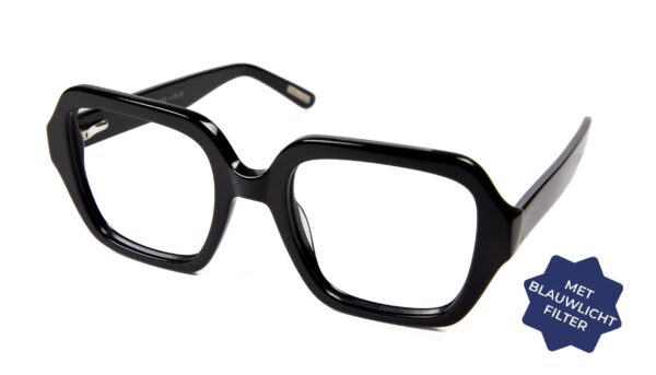 Leesbril Frank and Lucie Eyetem -Zwart-FL27100-+1.50