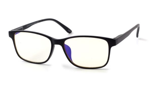 Leesbril INY Bluebreaker G4500-Zwart-+2.00