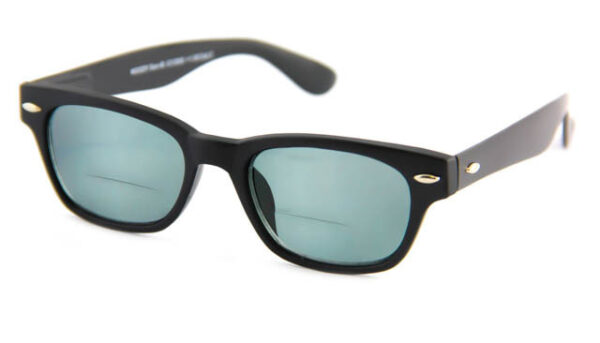 Leeszonnebril INY Woody Bifocaal G13500-Zwart-+1.00