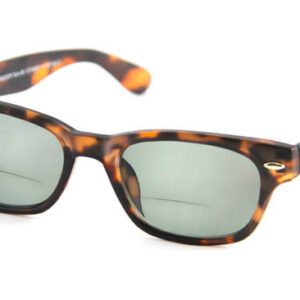 Leeszonnebril INY Woody Bifocaal G13600-Havanna -+2.50