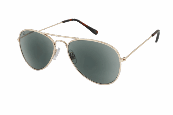 ZonneLeesbril Croon Pilot-Shiny gold-regular-+2.00