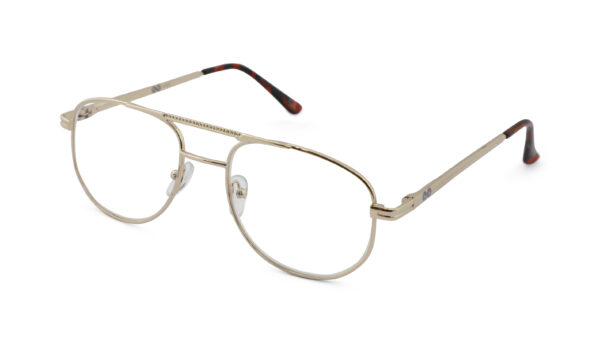 Leesbril Croon Goud Lee-+1.00