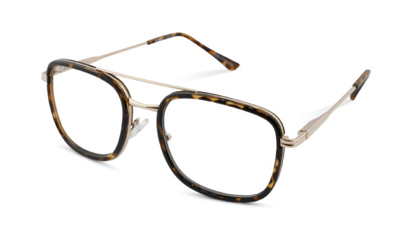 Leesbril Readr. 060 Charley-Havanna-+2.00