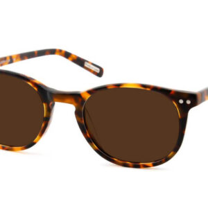 Leeszonnebril Frank and Lucie Eyecon-Havanna FL12500-+3.00